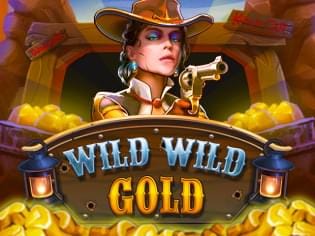Wild Wild Gold screenshot